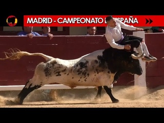 FINAL DEL CAMPEONATO DE ESPAA DE RECORTADORES CON TOROS 2018 - MADRID 07/10/2018