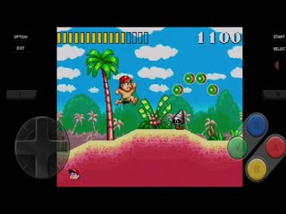 Super Adventure Island (USA)