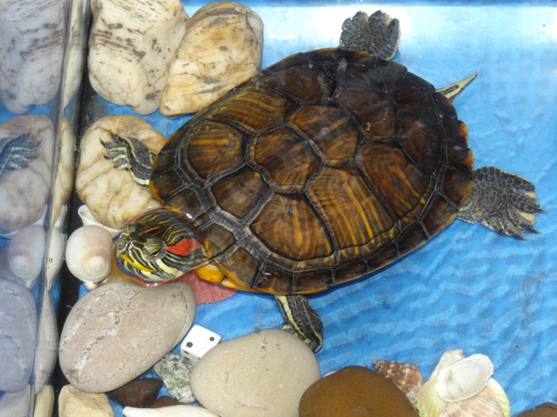 Даниил Егоров | Пенза