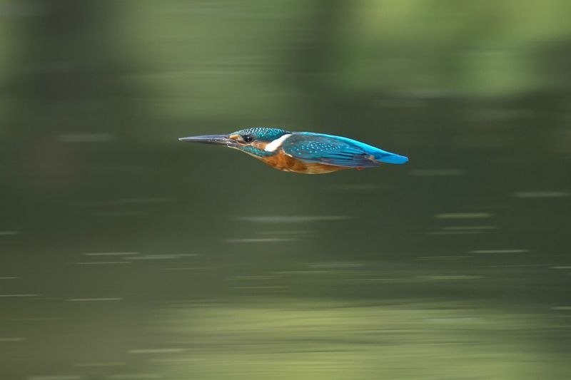 Андрей Заботин | Санкт-Петербург