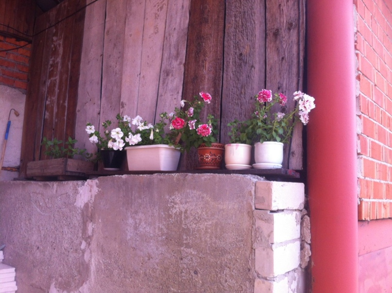 Татьяна Грибова | Кунгур