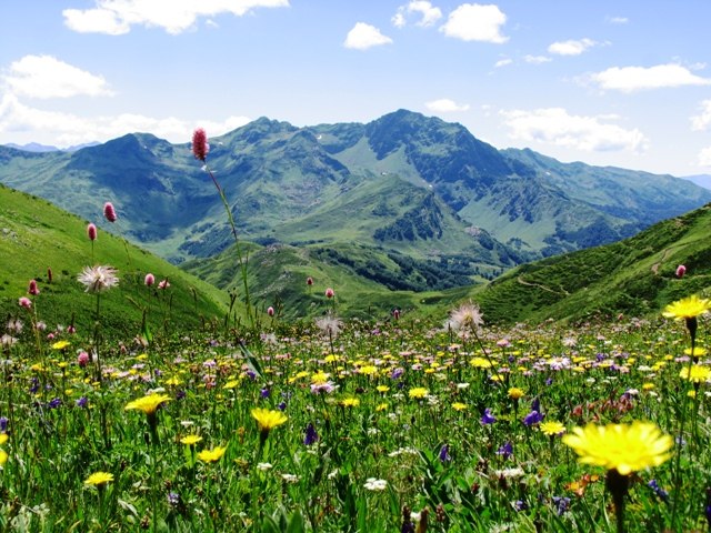 Наталья Милованова |