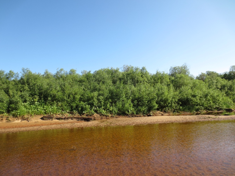 Анастасия Пономарева | Кулой