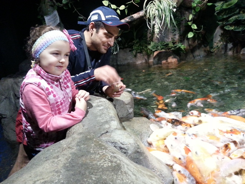 Роман Мамедов | Москва