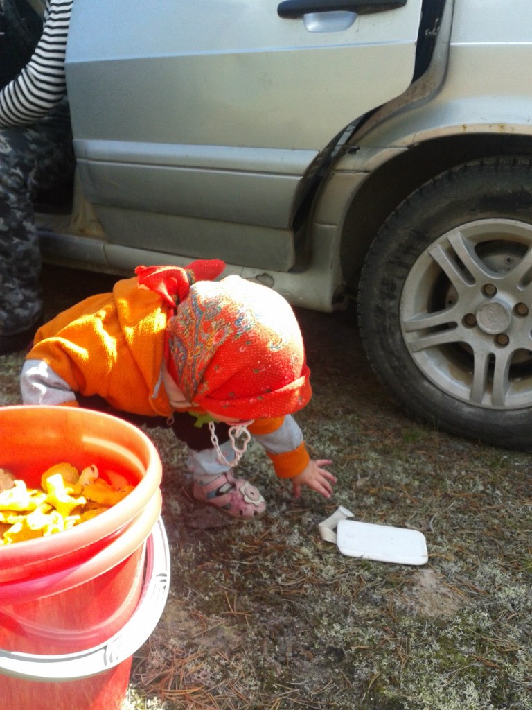 Михаил Валеев | Сыктывкар