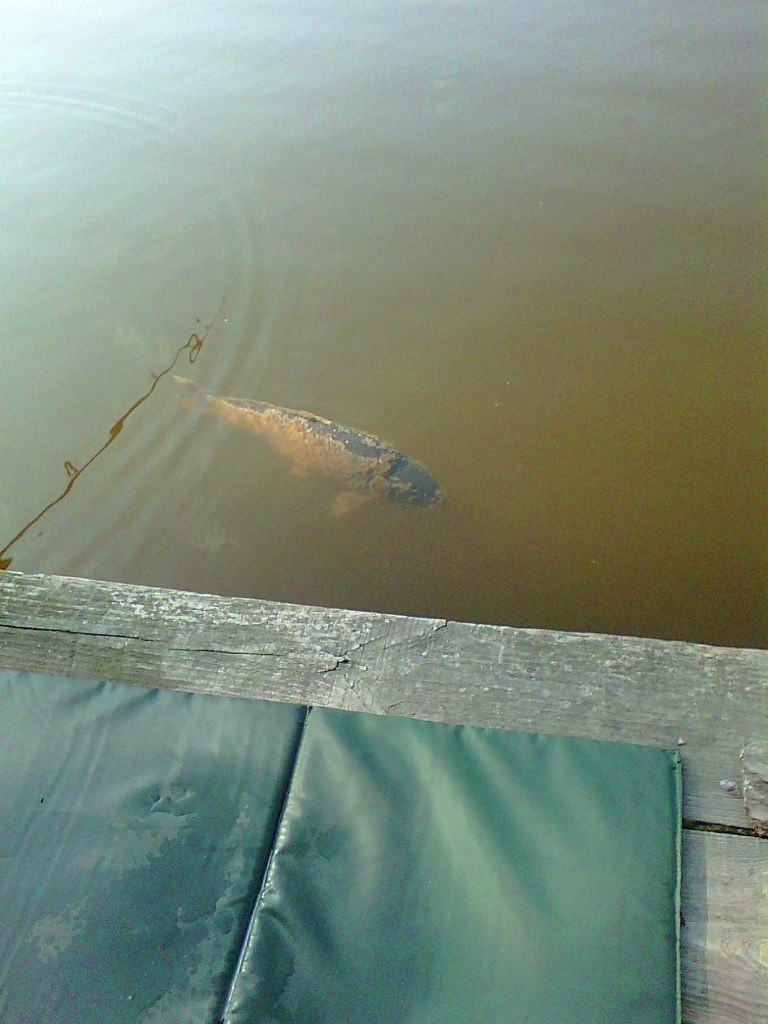 Сергей Гаращук | Киев