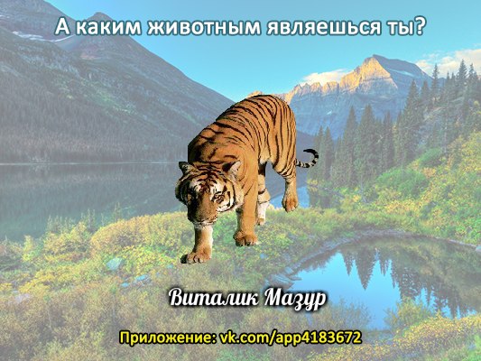 Виталик Мазур | New York City