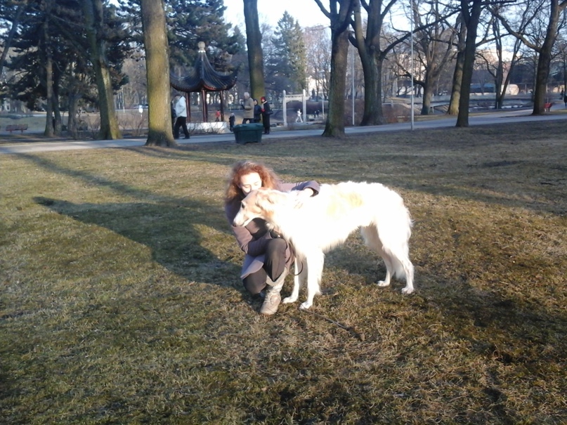 Олег Мамаев | Санкт-Петербург