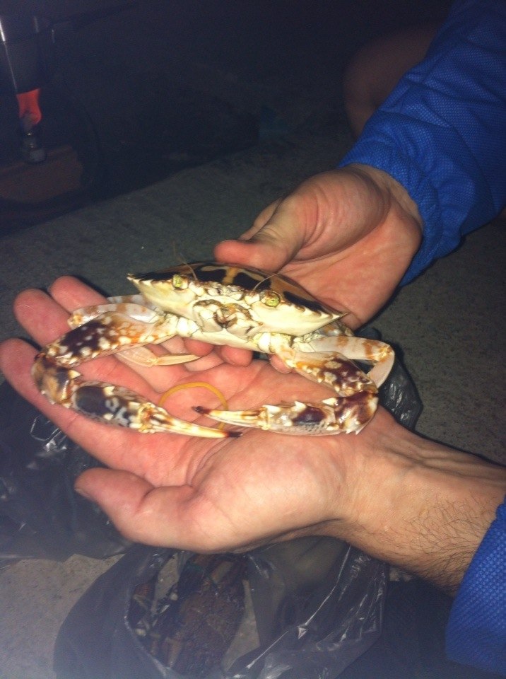 Маргарита Чернышова | Воронеж