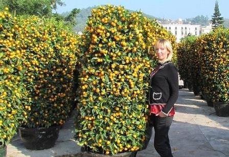 Максим Горланов | Киев