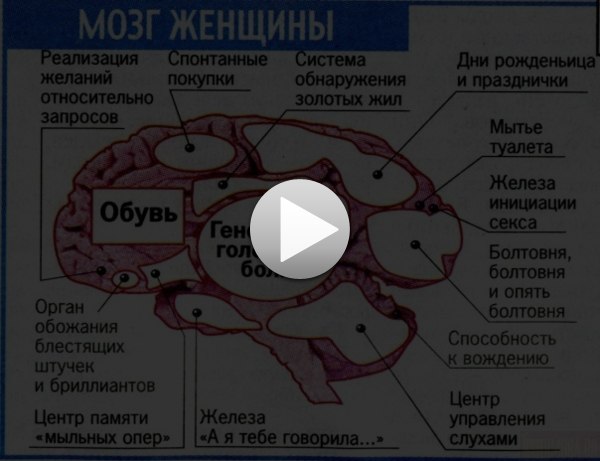 Ольчик Миронова |