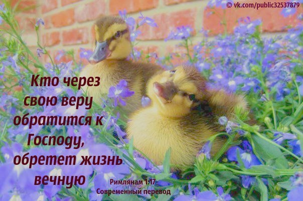 Лена Комиссарова | Николаев