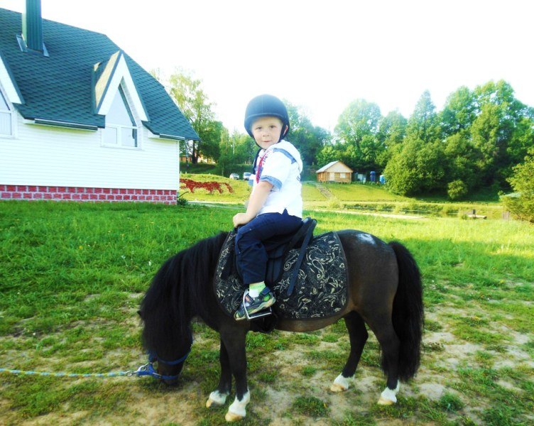 Денис Кульков | Шишкин Лес