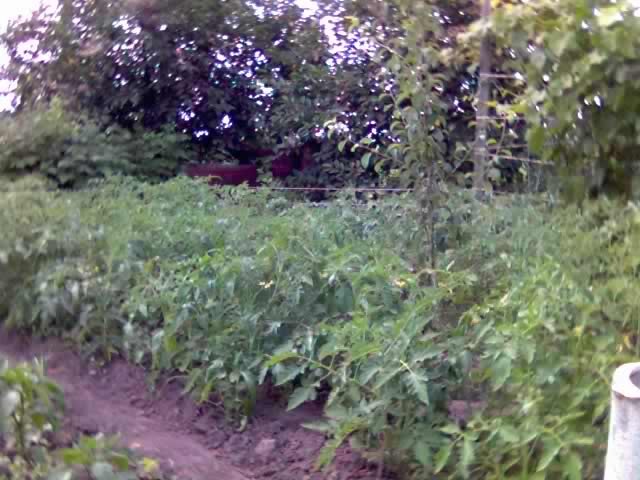 Алексей Константинов | Ростов-на-Дону