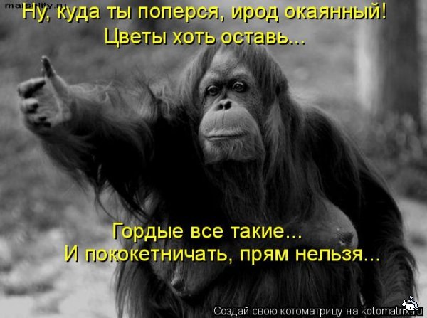 Антон Кукушкин | Рыбинск