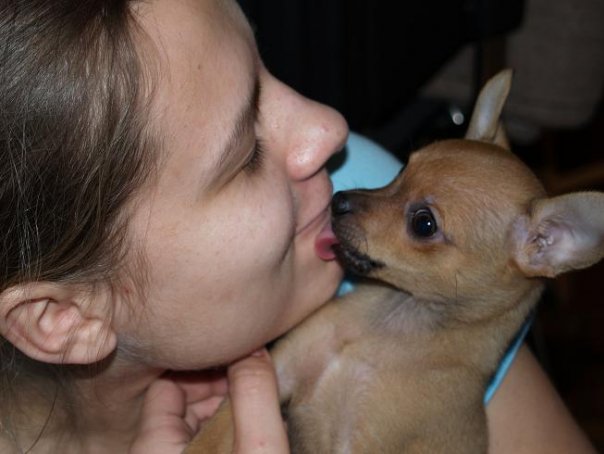 Чарлик Елисеев | Санкт-Петербург