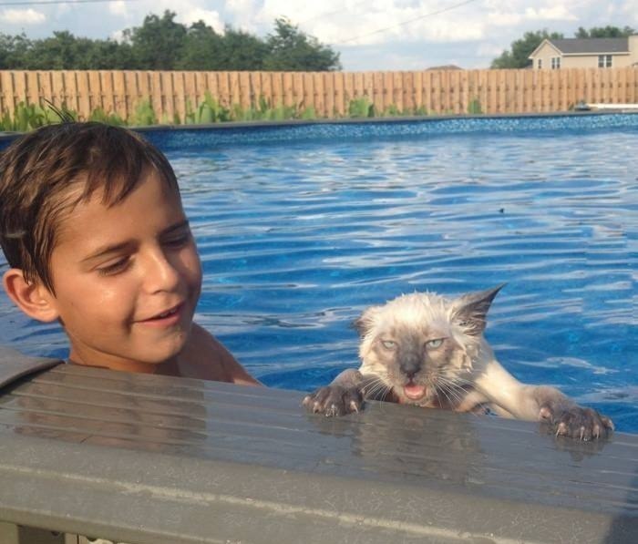 Александр Тарков Владимирович | Ростов-на-Дону