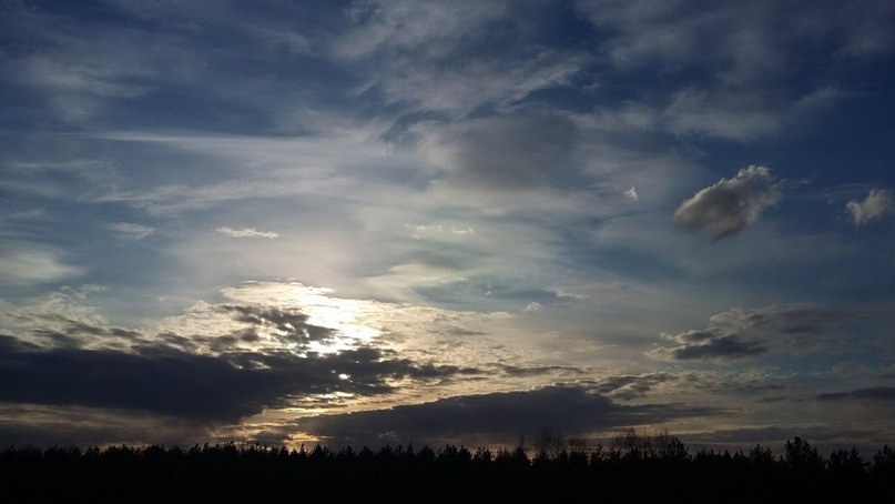 Александр Светлов | Санкт-Петербург