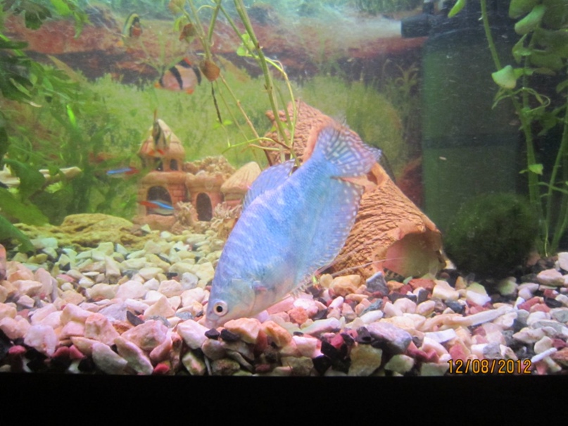 Паша Пугин | Одесса