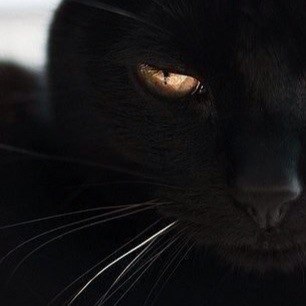 Андрей Титов | Владивосток