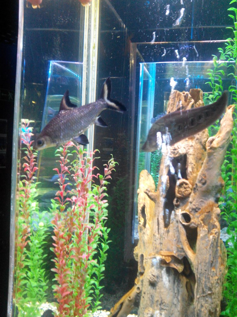 Анастасия Дегтярева | Волгоград