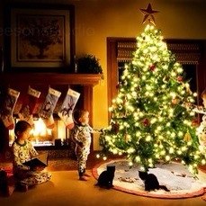 Анастасия Агафонова |