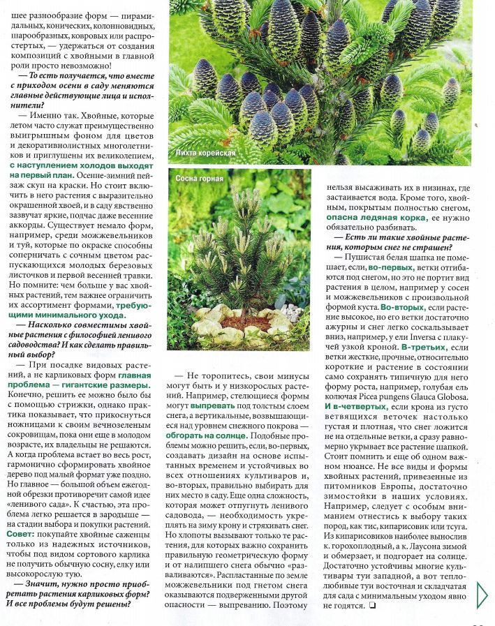 Наталия Соловьева | Москва