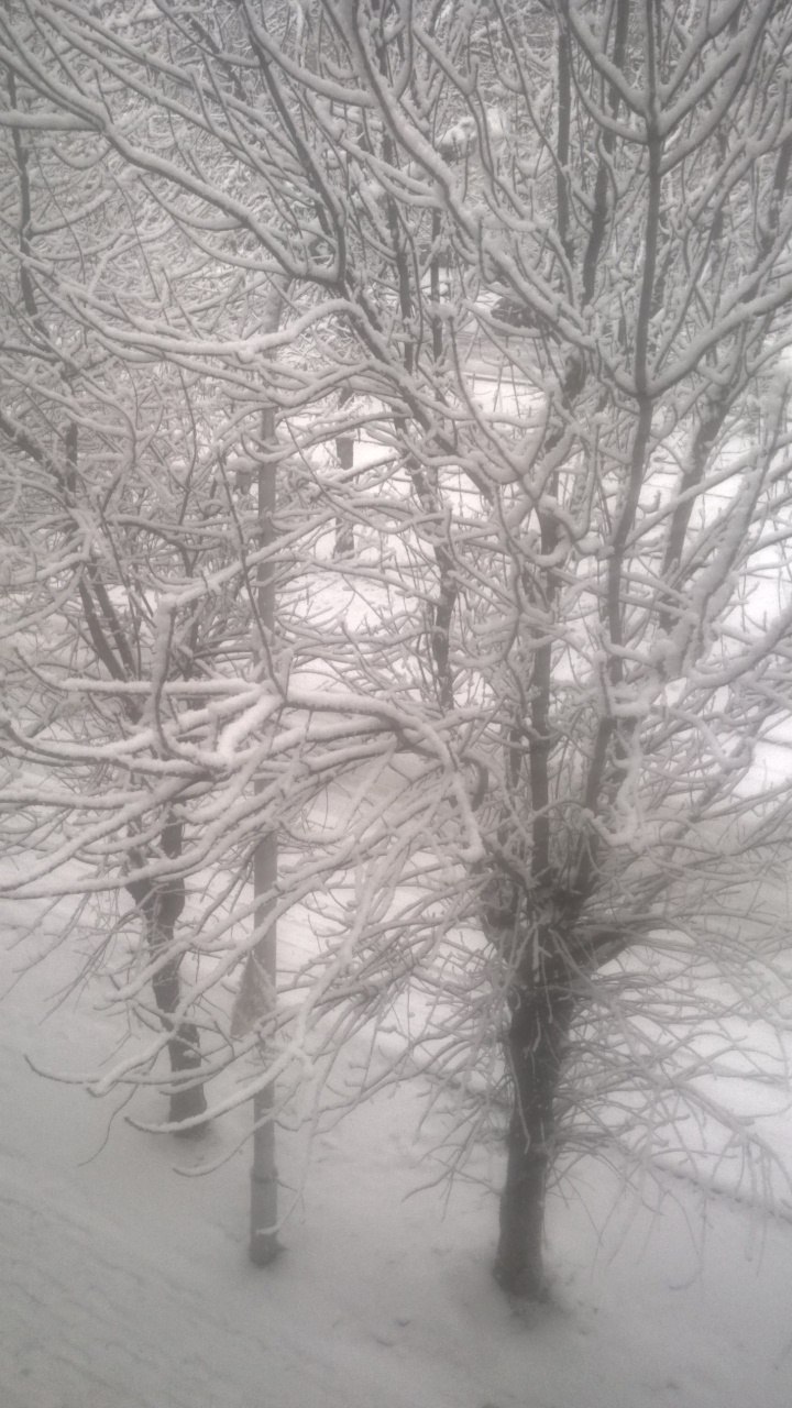 Евгений Константинов @Американец@ | Уфа