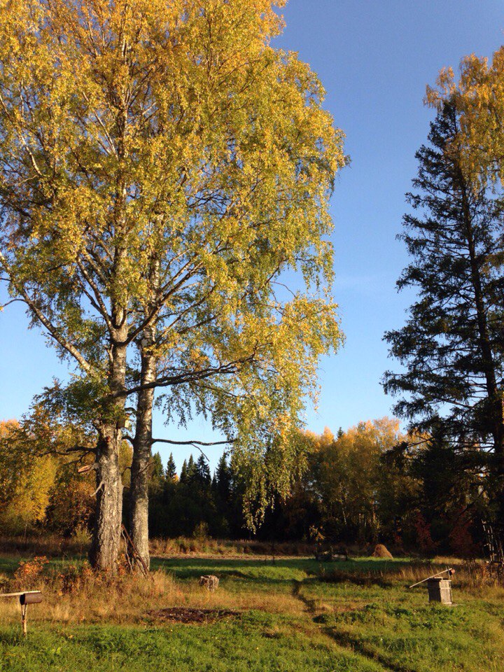 Анна Буркова | Калининград