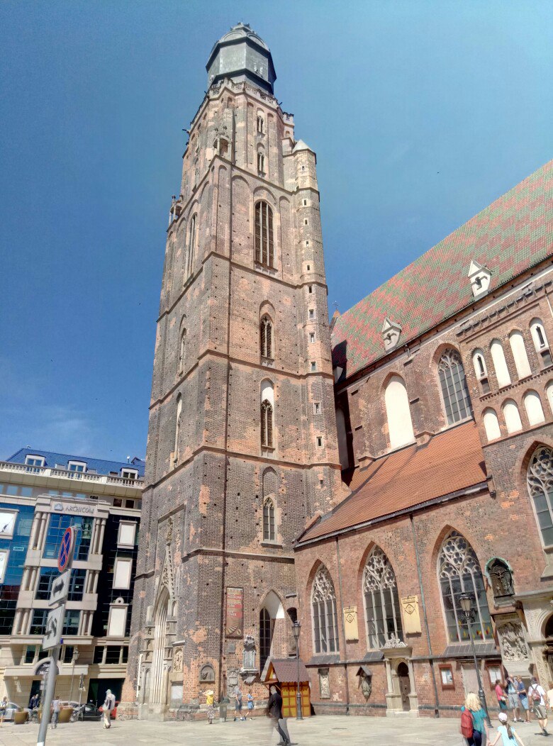 Андрей Шубин