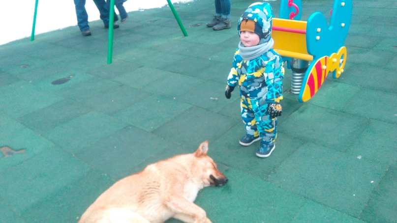 Виктор Селиверстов | Стрежевой