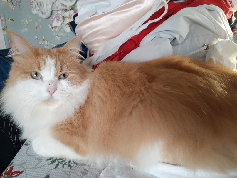 Наташа Белая | Рыбинск