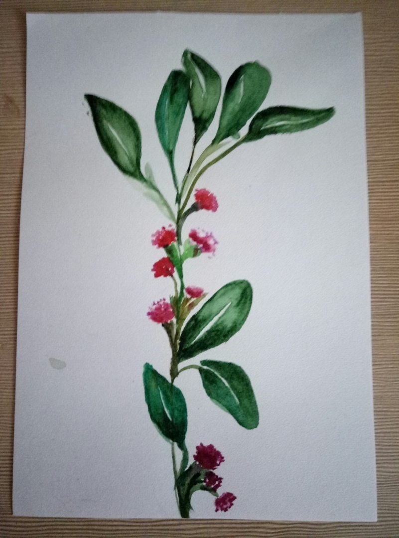 Галина Бойкова | Калининград