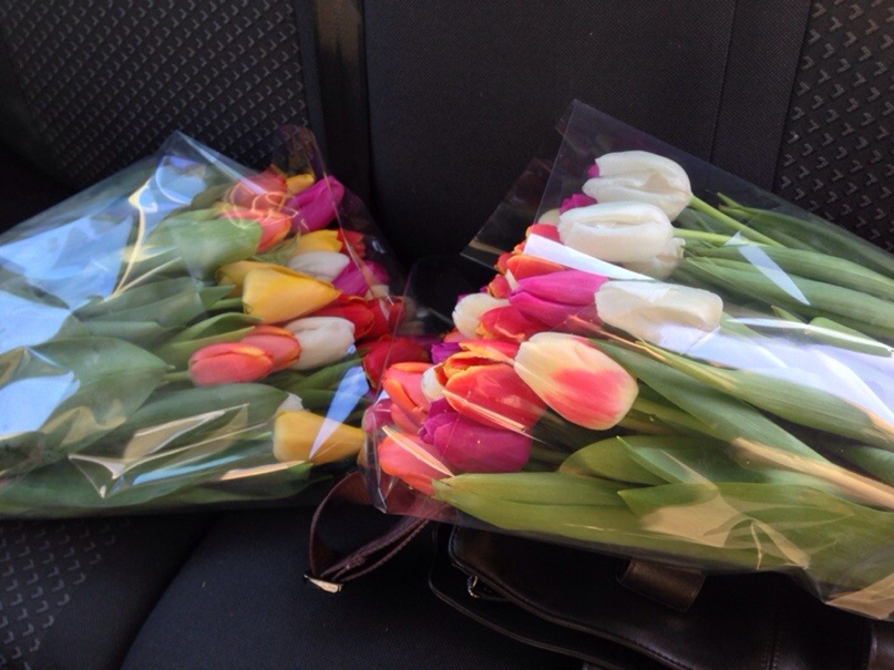 Дмитрий Аникин Tartos | Воронеж