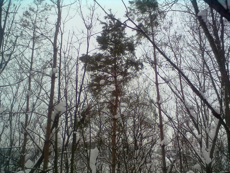 Ваня Прокофьев |