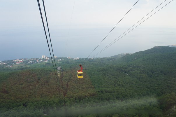 Макс Сафроненко | Санкт-Петербург