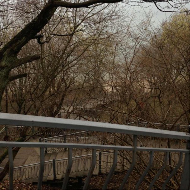 Юлия Швец | Калининград