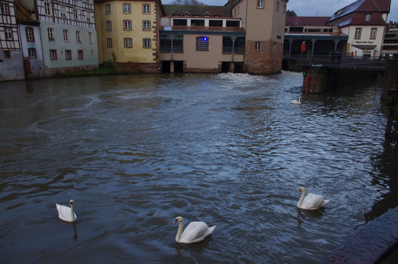 Саша Гнедова | Санкт-Петербург