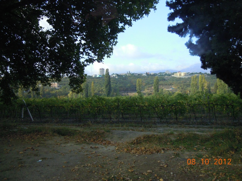 Владимир Гостев | Славянск