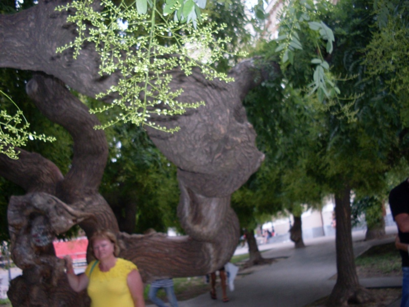 Татьяна Федосова | Санкт-Петербург