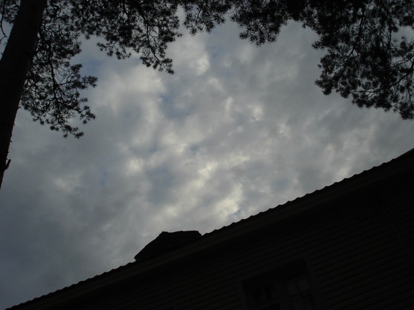 Ольга Гусева | Санкт-Петербург