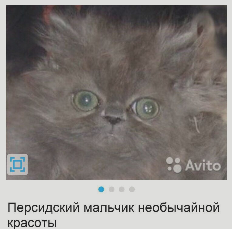 Михаил Соловьев | Мытищи