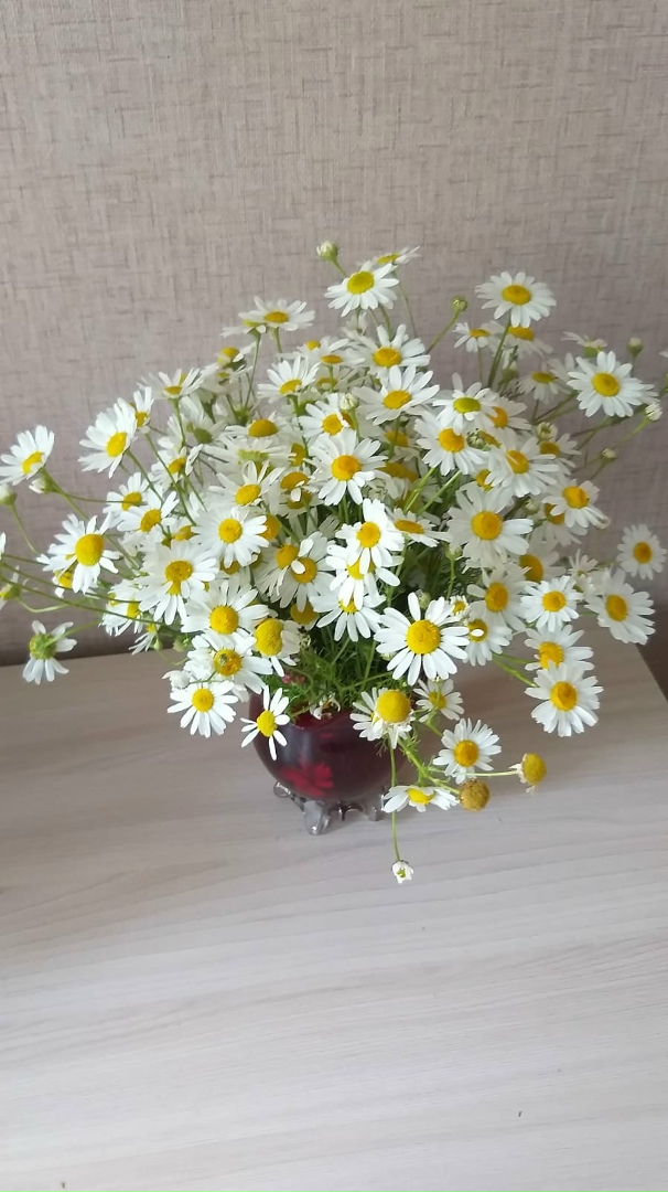 Наталья Большакова | Великий Новгород