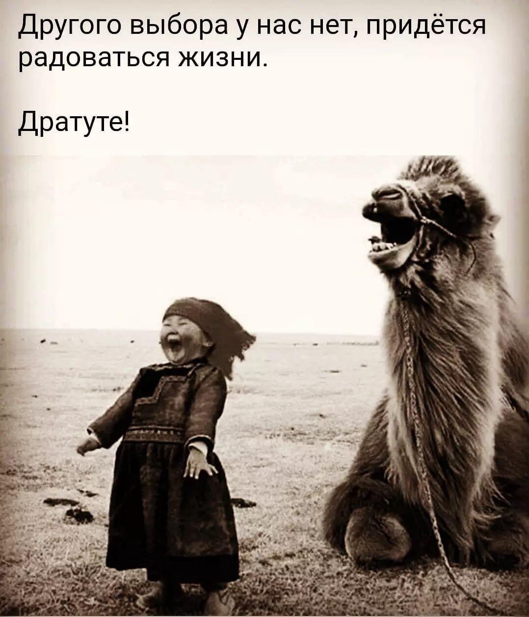 Другого выбора у нас нет придется радоваться жизни