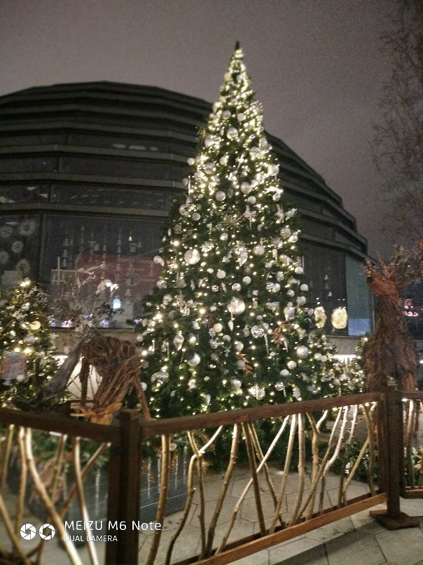 Елена Николаева | Москва