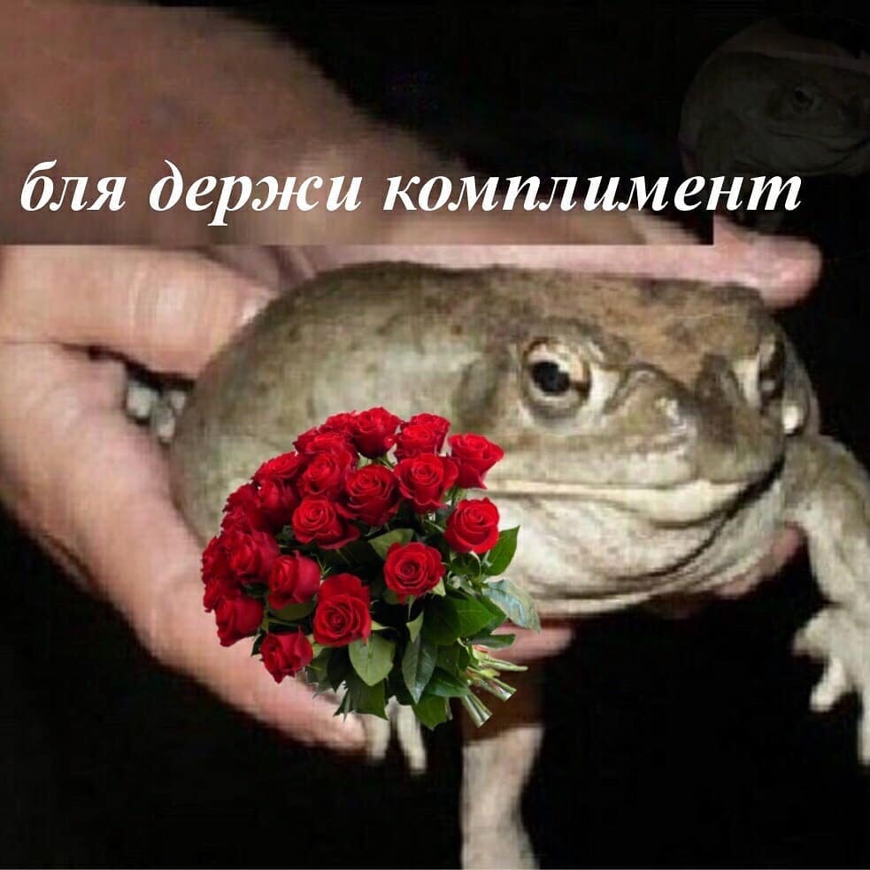 Держи жабу