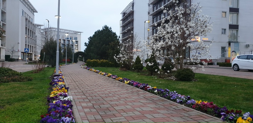 Алексей Амеличкин | Ханты-Мансийск