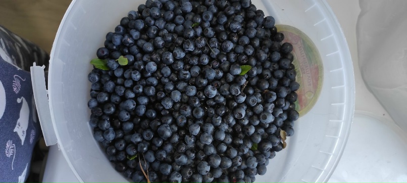 Ольга Сикорская Юрьевна | Нижний Тагил