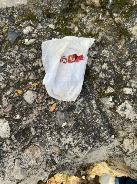 Здравствуйте. Это сегодня лежало на набережной. Там...