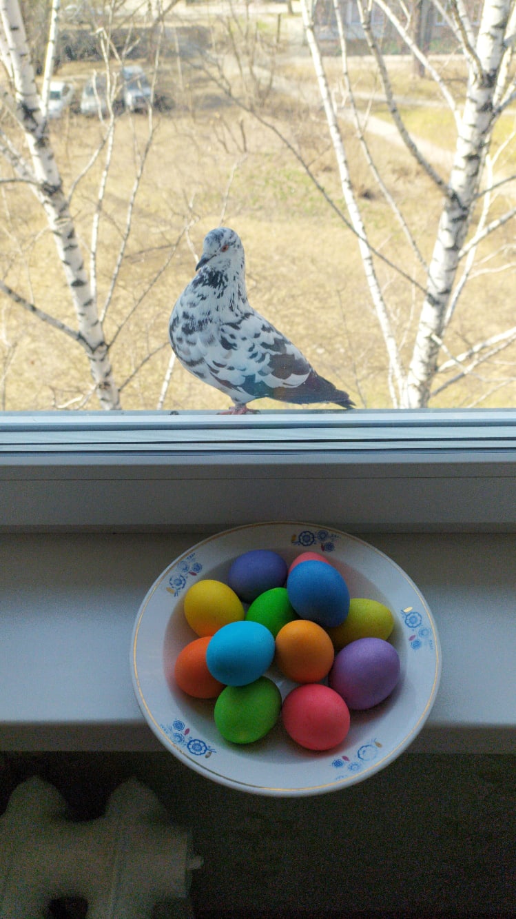 Дмитрий Хохлов | Новосибирск